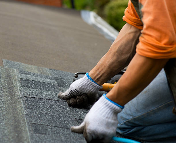 Best Residential Roofing Contractor  in High Point, FL