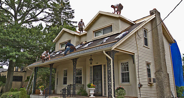 Best Emergency Roof Repair  in High Point, FL